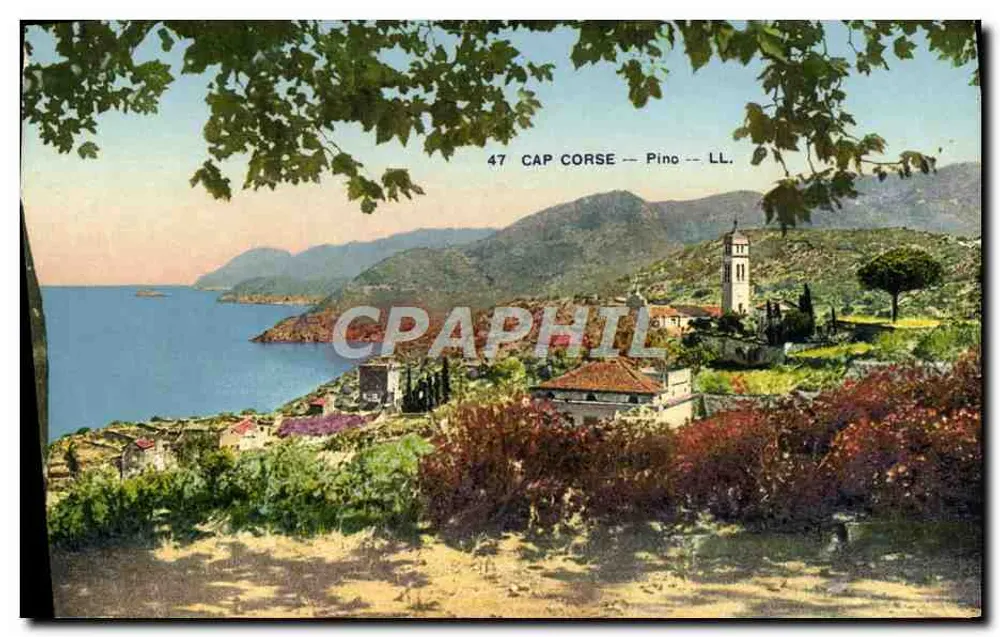 Pino — Cap Corse — LL. — Editor Lévy & Neurdein, Paris - Frente
