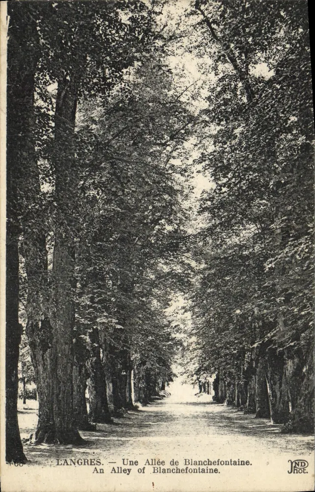 Langres — Uma Avenida de Blanchefontaine — JND Phot. - Frente
