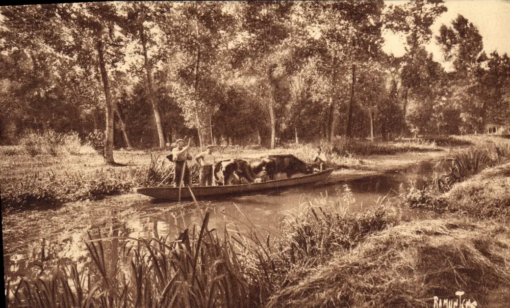 Der Marais Poitevin — Viehtransport — Éditions Artistiques Raymond Bergevin - Vorderseite