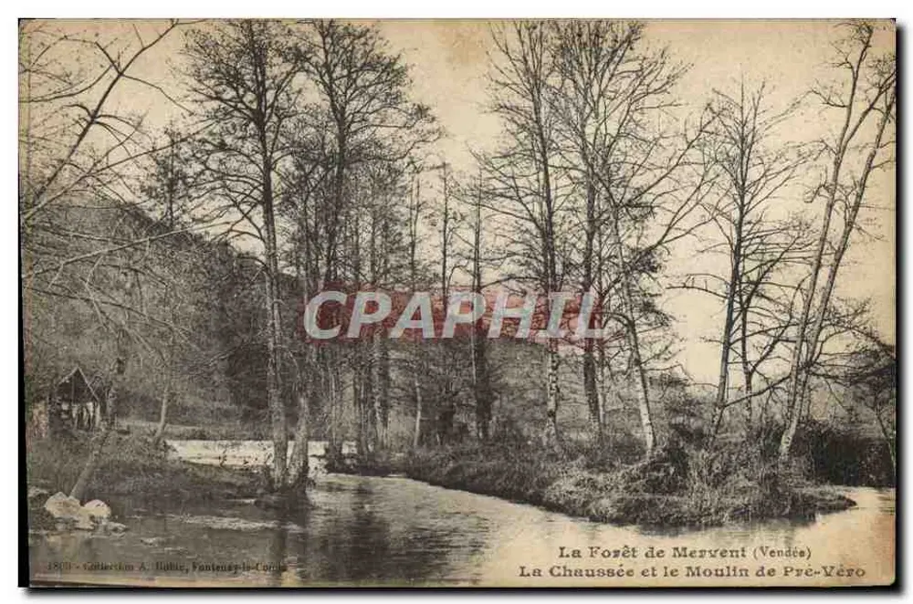 Der Wald von Mervent (Vendée) — Die Straße und das Mühle von Pré-Véro — Sammlung A. Hullic, Fontenay-la-Combe - Vorderseite