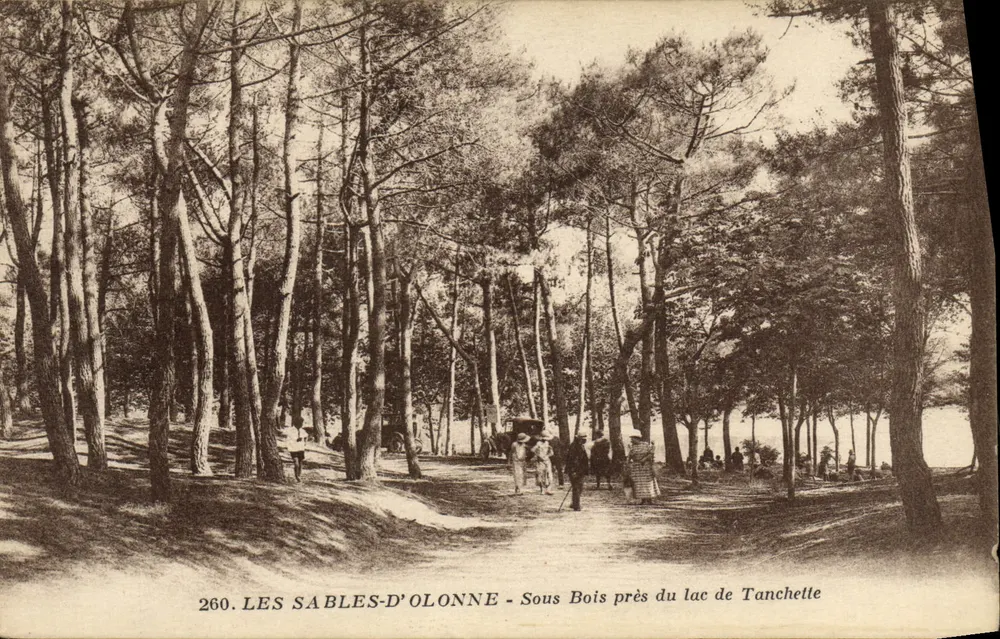 LES SABLES-D'OLONNE - Unter den Bäumen am See Tanchette — J. Nozaïs, Verlag, Nr. 260 - Vorderseite