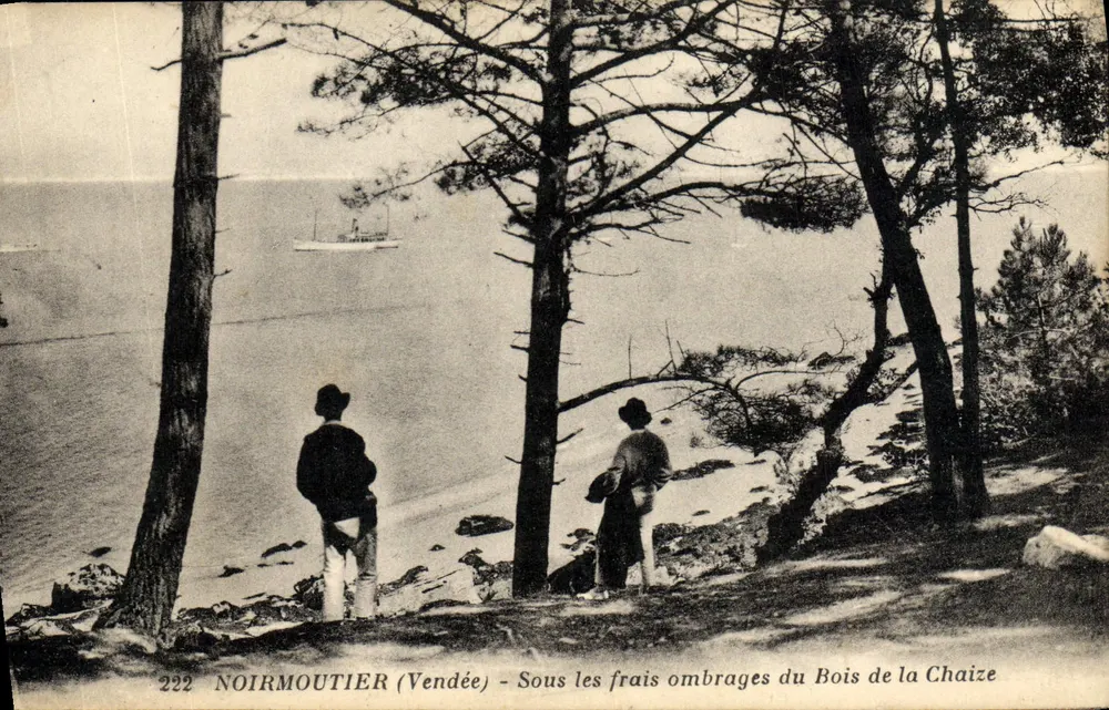 Noirmoutier (Vendée) — Unter dem schattigen Laub des Bois de la Chaize — J. Nozais, Verlag, 18, Avenue du Coteau, Nantes - Vorderseite
