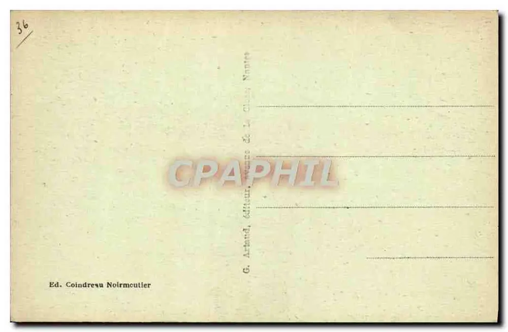 ला पॉइंट सेंट-पियर — नॉइरमूटियर — एडिटर कोइंड्रेसू नॉइरमूटियर, नंबर 24 - पीछे