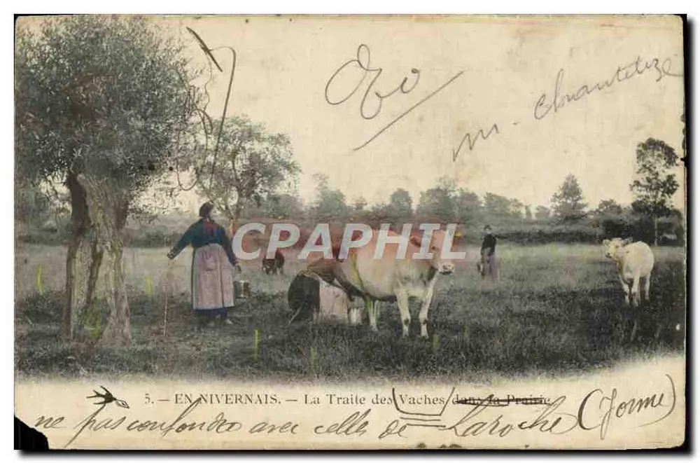 Im Nivernais — Die Milchschale der Kühe auf der Wiese (Forme) — Verlag: G. Forme - Vorderseite