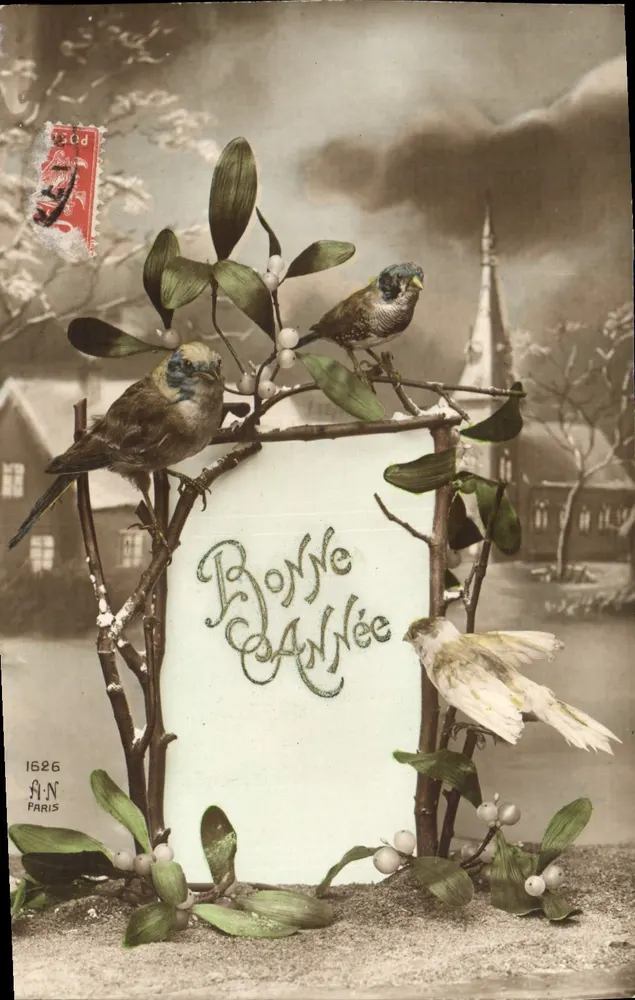 Guten Jahresbeginn — Vögel und Eberesche — A.N. Paris n°1626 - Vorderseite