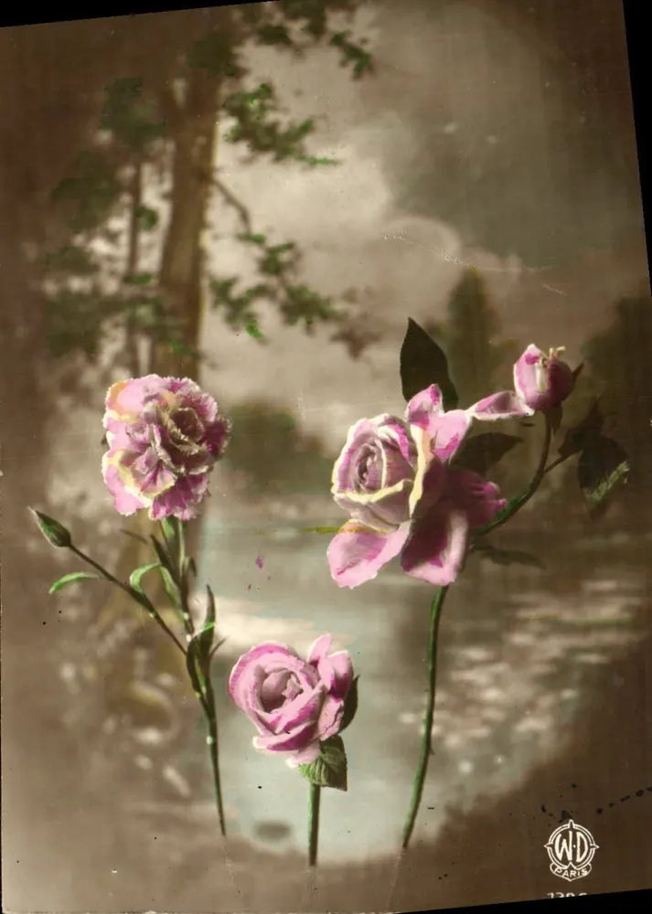 Roses en fleur — paysage forestier — WD PARIS n°738 - Awers