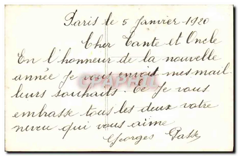 Roses en fleur — paysage forestier — WD PARIS n°738 - Rewers