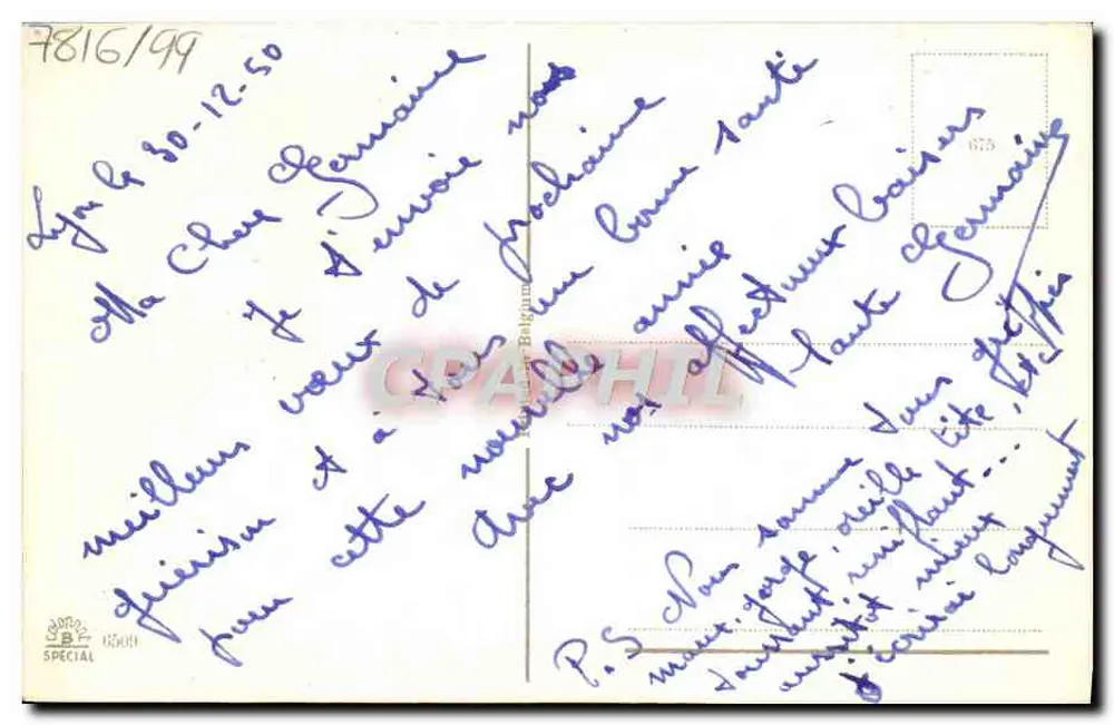 Arranjo de margaridas — Boas Festas — editor não visível - Verso