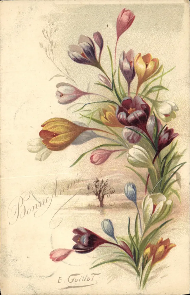 Buquê de crocus — E. Guillot — Editor não visível - Frente