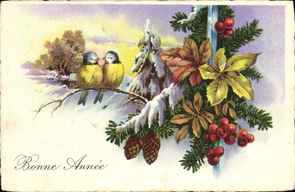Zwei Vögel auf einer schneebedeckten Ast — Frohe Neujahr — unbekannter Verleger, Seriennummer nicht sichtbar - Vorderseite