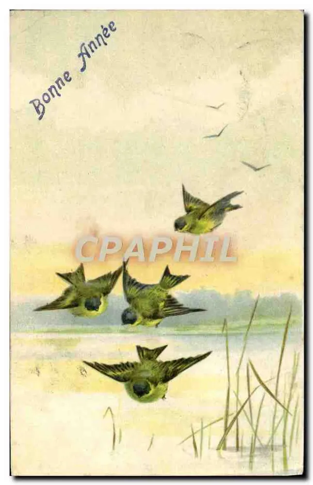Vögel über einem See — Frohe Neujahr — unbekannter Verlag - Vorderseite