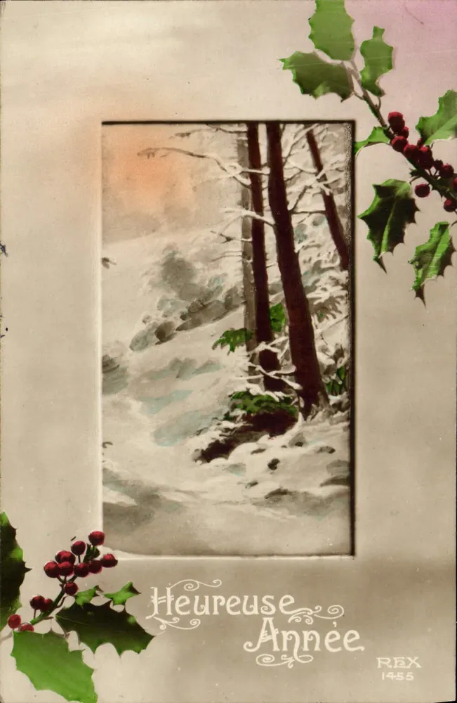 Frohe Neujahr — schneeverdecktes Winterlandschaft — REX 1455 - Vorderseite