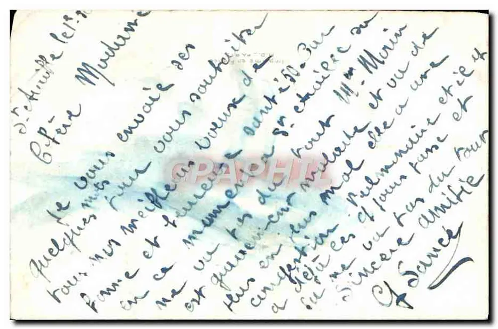 Rosas e livro — Alegria, felicidade, saúde para o novo Ano — carta de boas-vindas - Verso