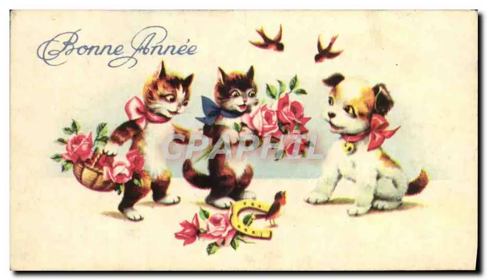 Chats et chiot — scène de vœux avec roses et hibou — éditeur non visible - Voorkant