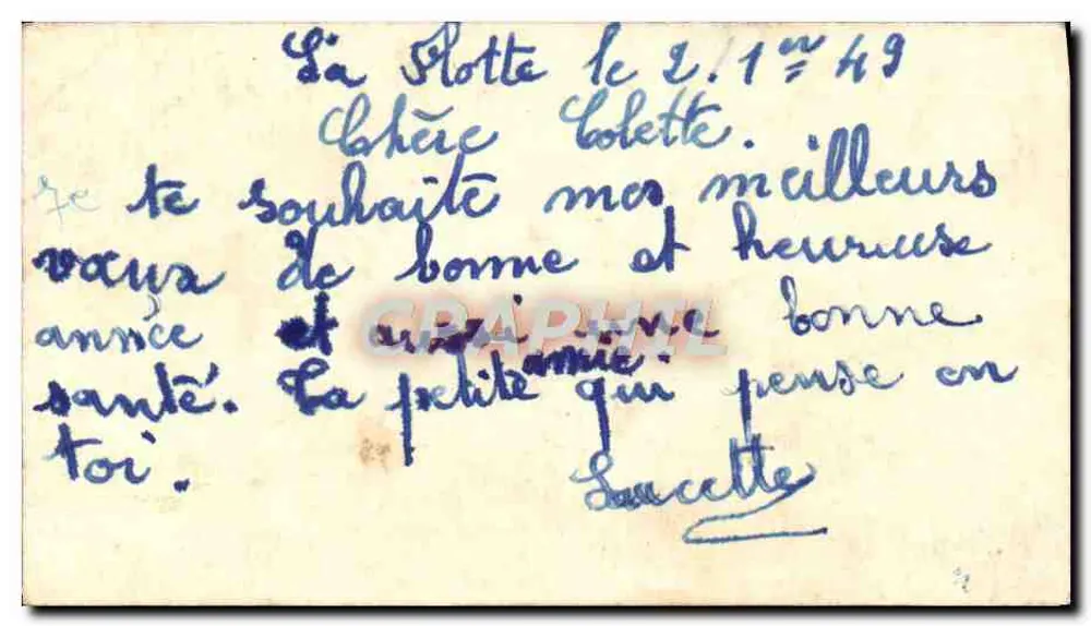 Chats et chiot — scène de vœux avec roses et hibou — éditeur non visible - Achterkant