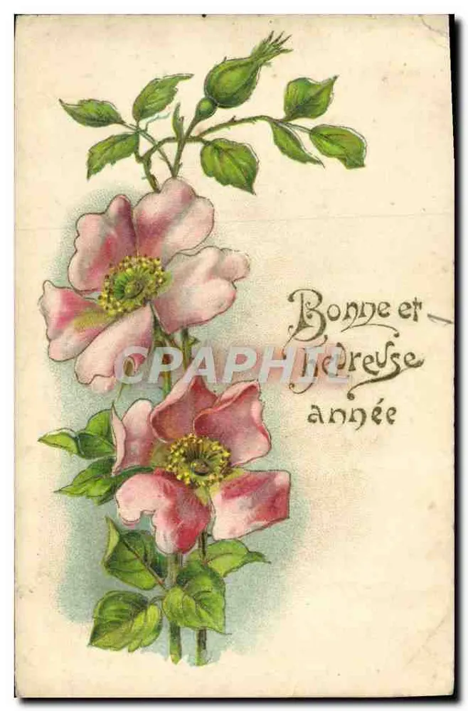 Flores de rosa — Boa e feliz ano — editor não visível - Frente