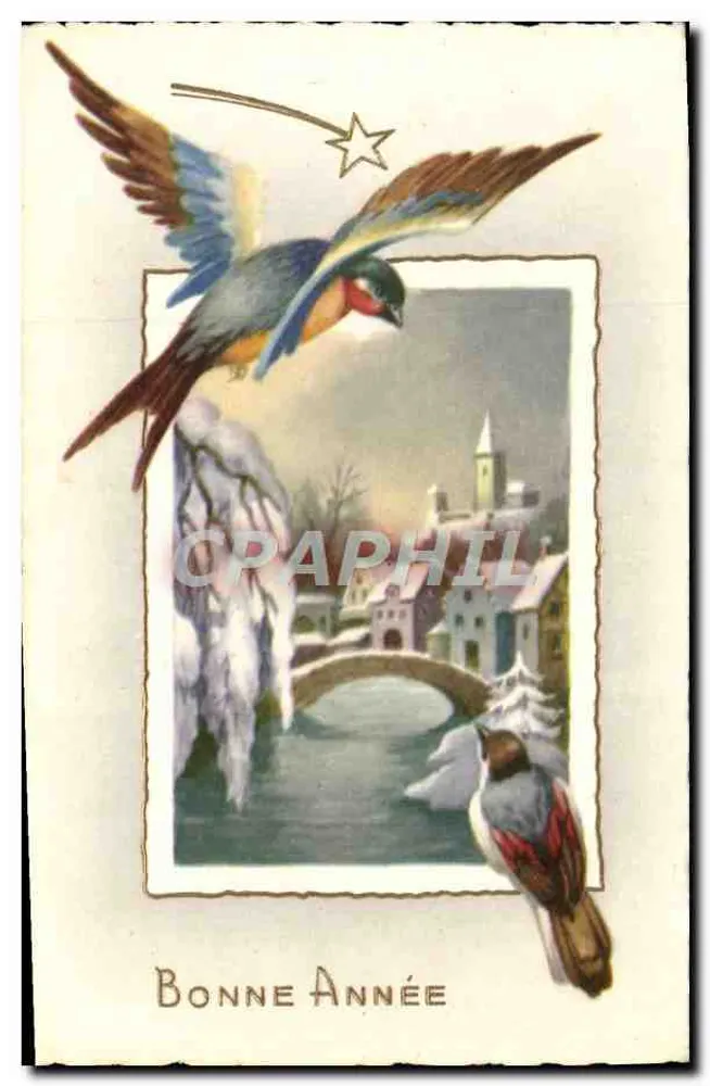 Vögel und winterlicher Landschaft — Frohe Neujahr — M.D. Paris, Serie Nr. 4905 - Vorderseite