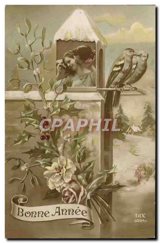 Zwei Vögel auf einem Vogelstangen — Winterlandschaft mit Paar im Hintergrund — DIX 1094 - Vorderseite