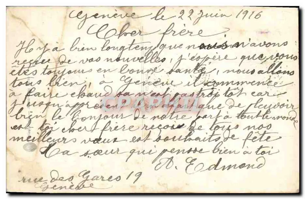 Arranjo de flores — Boa festa — Pássaro 824 - Verso