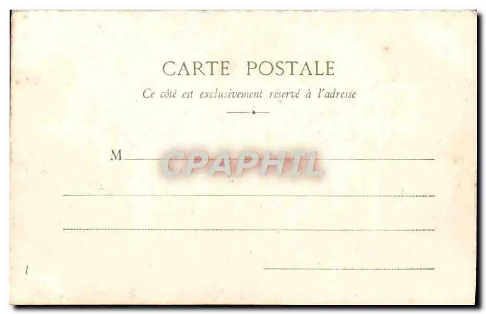 Monte-Carlo — Gruppe von Palmen — Die Gärten — Verlag nicht sichtbar, Seriennummer 782 - Rückseite