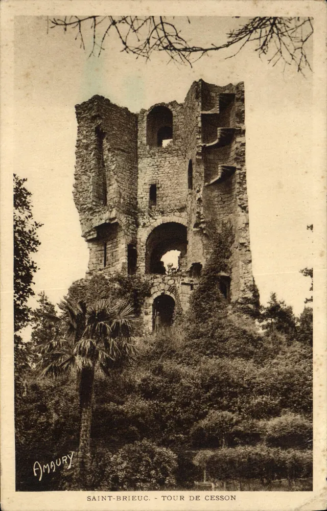 Saint-Brieuc - Tour de Cesson — ruines d'un donjon médiéval avec palmier au premier plan, éditeur Amgoury - Frente