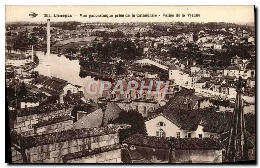 Limeçes — Panoramablick vom Dom • Tal der Vienne — Verlag: , Nr. 303 - Vorderseite