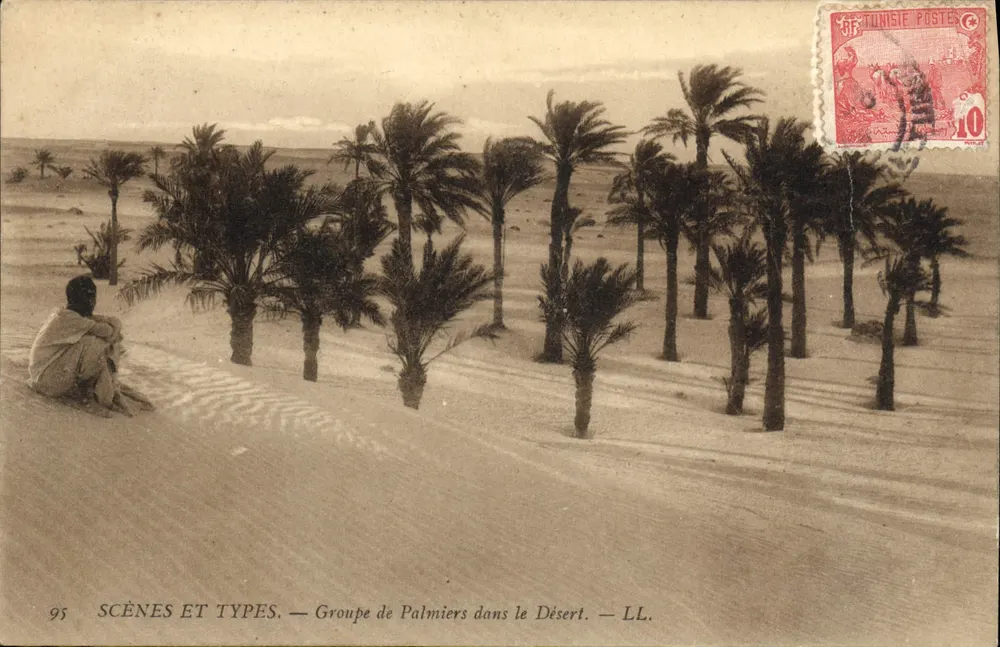 Groupe de Palmiers dans le Désert — SCÈNES ET TYPES — LL. — Tunisie Poste - Vorderseite