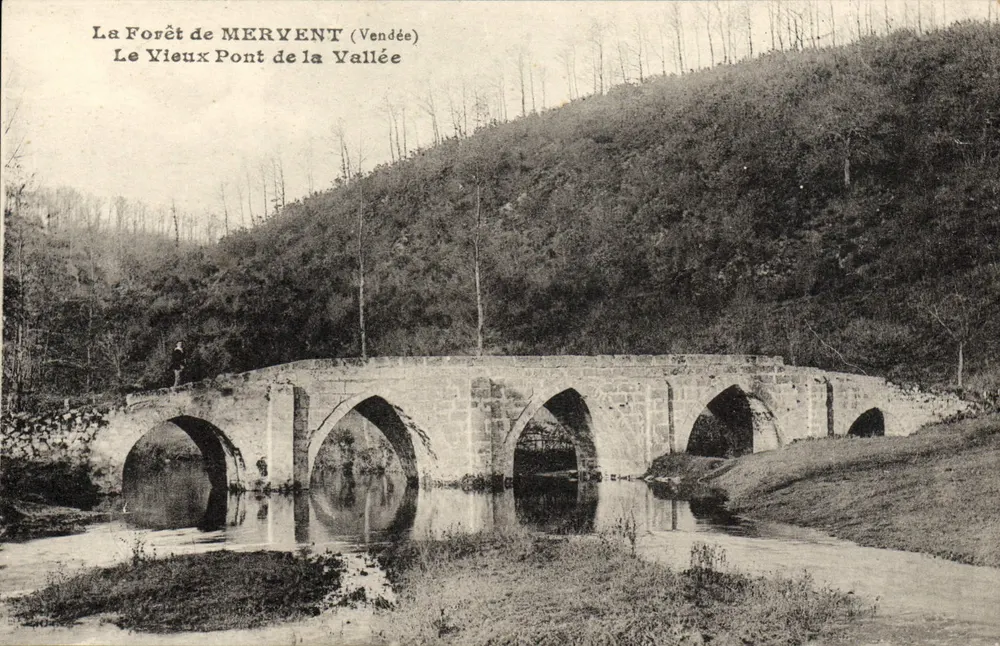 Der Wald von MERVENT (Vendée) — Der Alte Brücke der Schlucht - Vorderseite