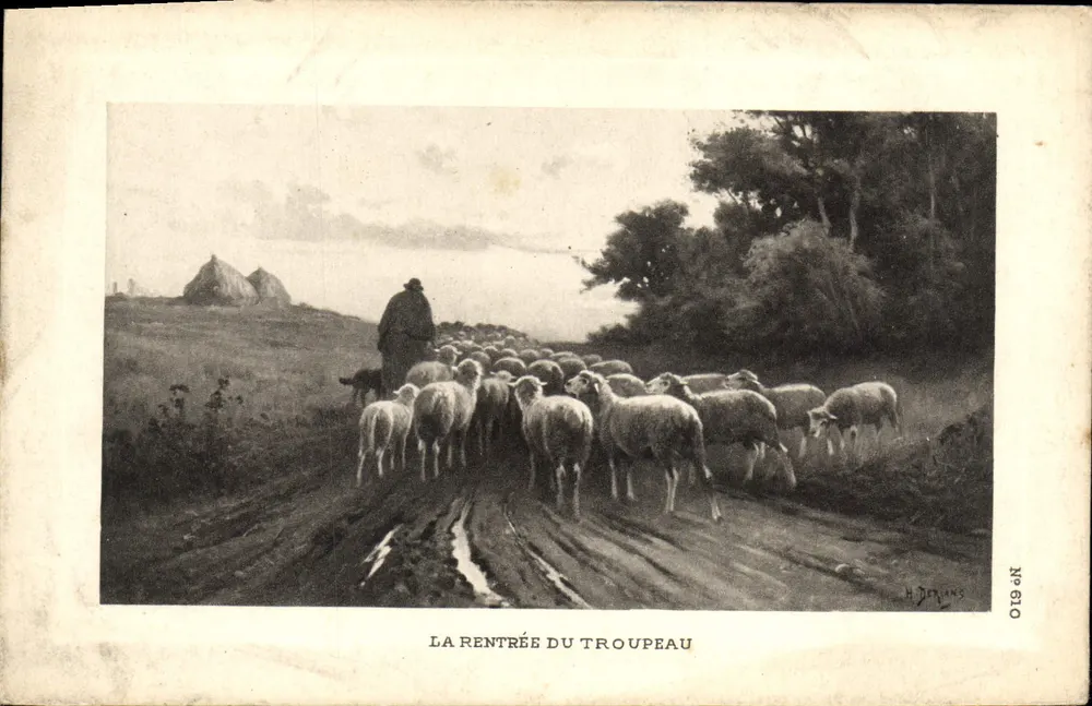 A Volta do Rebanho — H. Demans, N° 610 - Frente