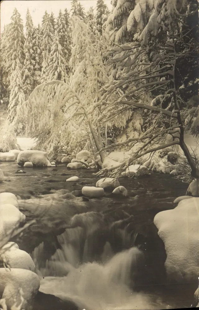 Paisagem invernal nevada — cachoeira e floresta — Foto Zeiger - Gérardmer - Frente