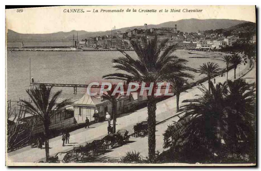 CANNES — Die Promenade de la Croisette und der Mont Chevalier — Verlag: Ancien Étab. Neufgen et Cie, Paris, Nr. 529 - Vorderseite