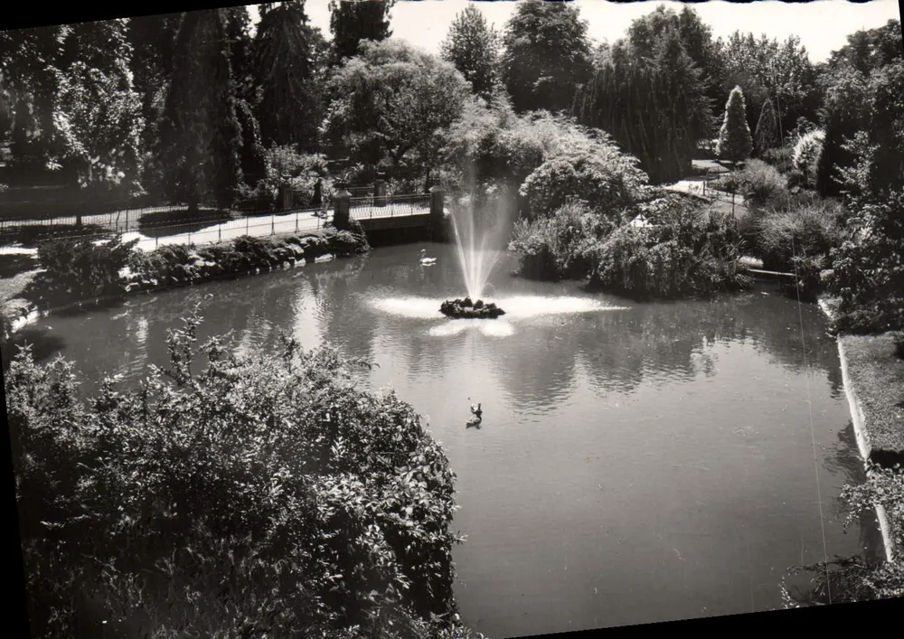 Schwanenteich in den großen Parks — Vichy (Allier) — Éditions Véritable - Vorderseite