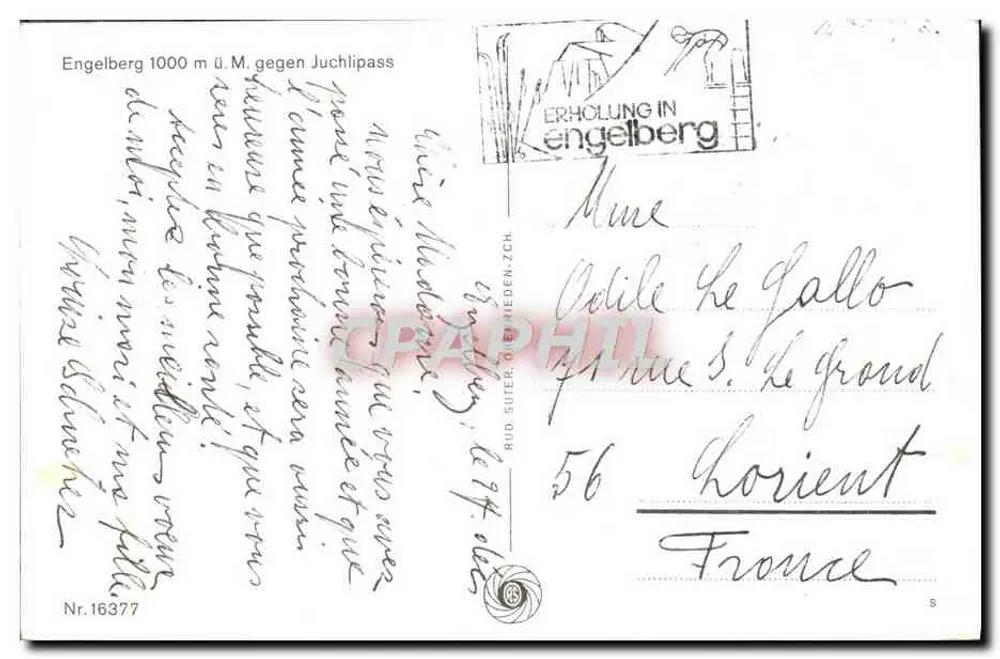 एंगेलबर्ग — बर्फ से ढके वाला पैनोरामिक दृश्य — रूडोल्फ सूटर, नंबर 16377 - पीछे