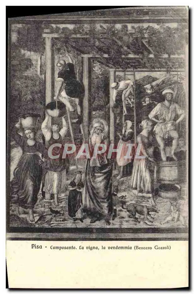 Pisa - Camposanto. Die Weinrebe, die Weinlese (Benozzo Gozzoli) - Vorderseite