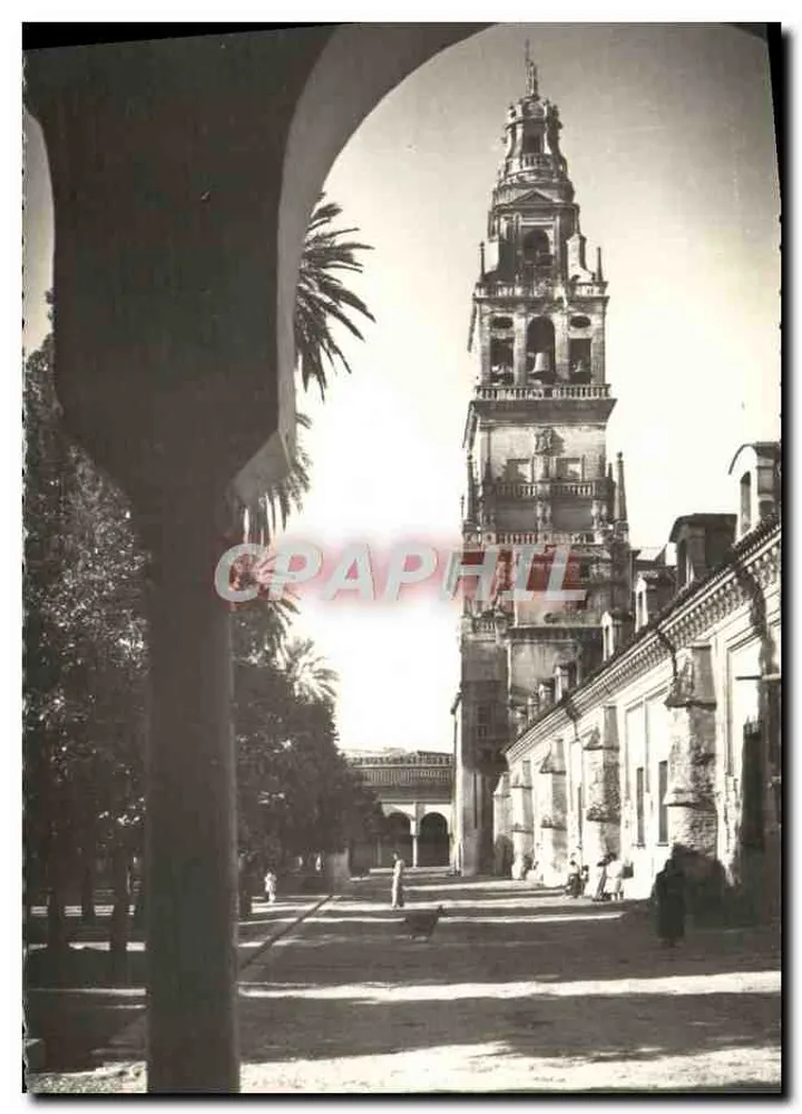 Cordoue — Cour des Orangers und Turm der Kathedrale — Verlag García Carratala, n°25 - Vorderseite