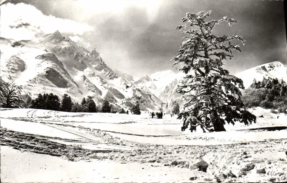 Mont-Dore - Sancy — vista invernal com pinheiro nevado — Réal-Photo, n°156 - Frente