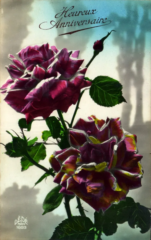 Rosas — Aniversário — DéDé, Paris, n°1693 - Frente