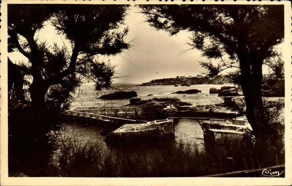 Biarritz — Schöne Ansicht des Fischereihafens — Phot. Lauribalon - Vorderseite
