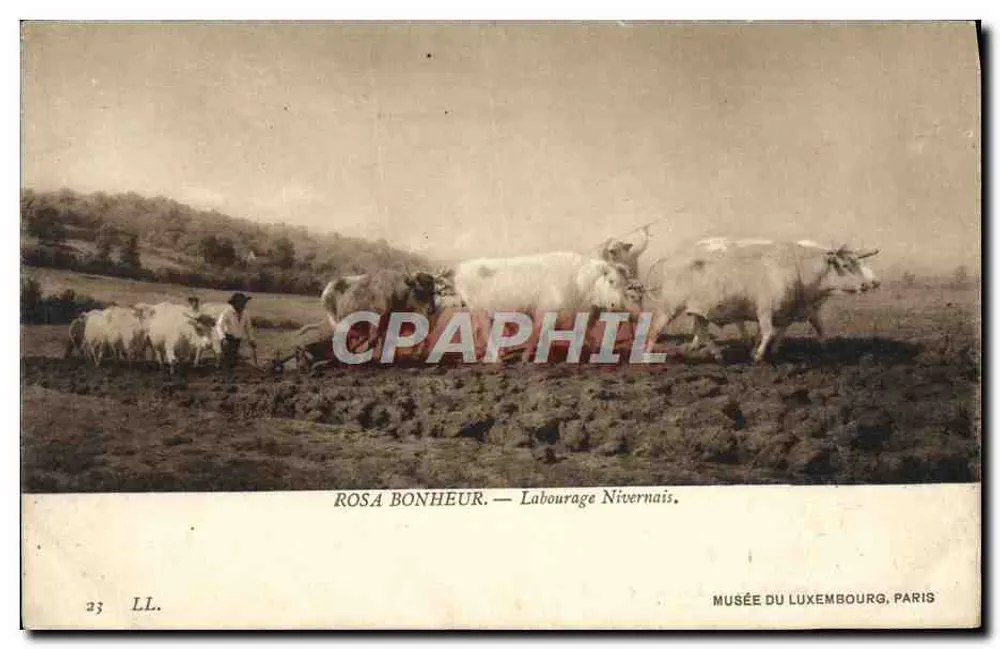 Nivernaisches Pflügen — Rosa Bonheur — Musée du Luxembourg, Paris - Vorderseite