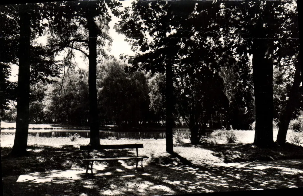 Lons-le-Saunier (Jura) — Een hoekje van het Park — Uitgave en Foto L. Protet, Jura - Voorkant