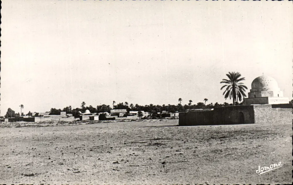 Oásis e Palmeral — Jomone - Frente