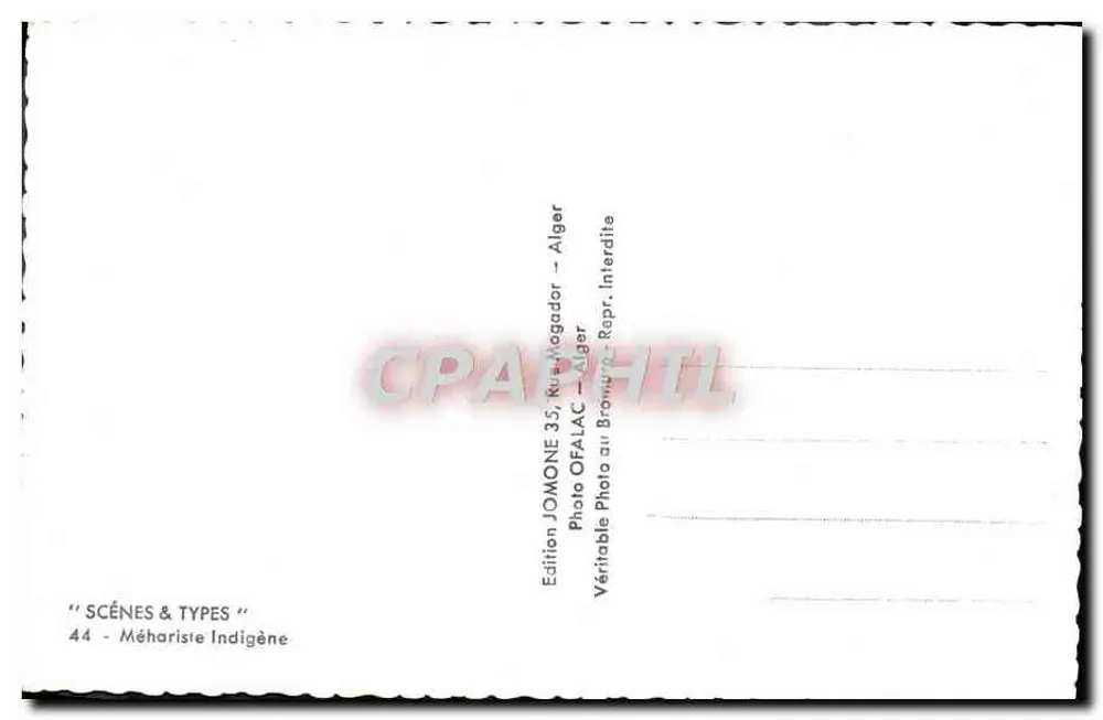 Méhariste indígena — Argélia — Edição JOMONE, n°44 - Verso