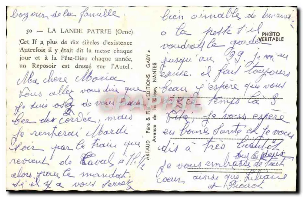 Árvore antiga — La Lande Patrie (Orne) — Gaby - Verso