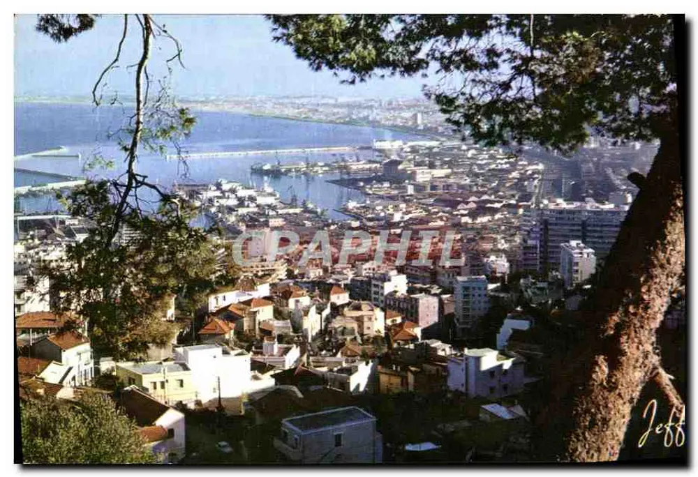 Vista panorâmica de Argel — Exclusividade das Edições Mohammed Khemisti — n.º 1038 - Frente