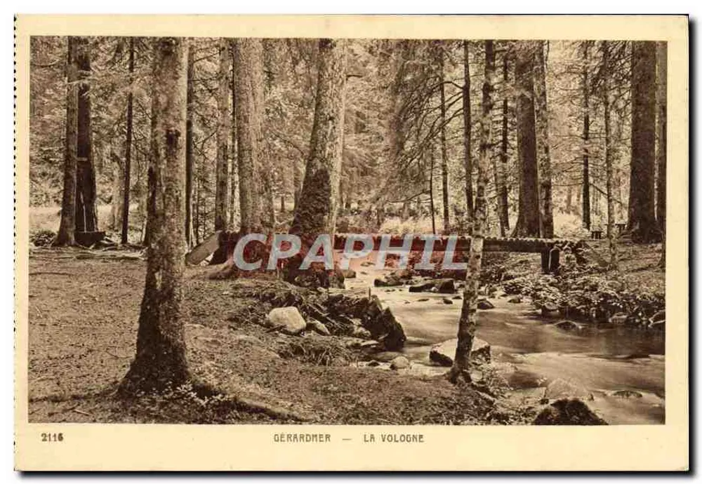 Gérardmer — A Vologne — Editor BRAUN & Cie (H.-Rhin) - Frente