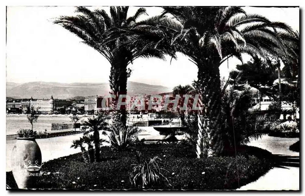 Cannes — Blick auf die Hotels, Aufnahme vom Jardin Albert-1er — Verlag: Imprimerie Munier - Vorderseite