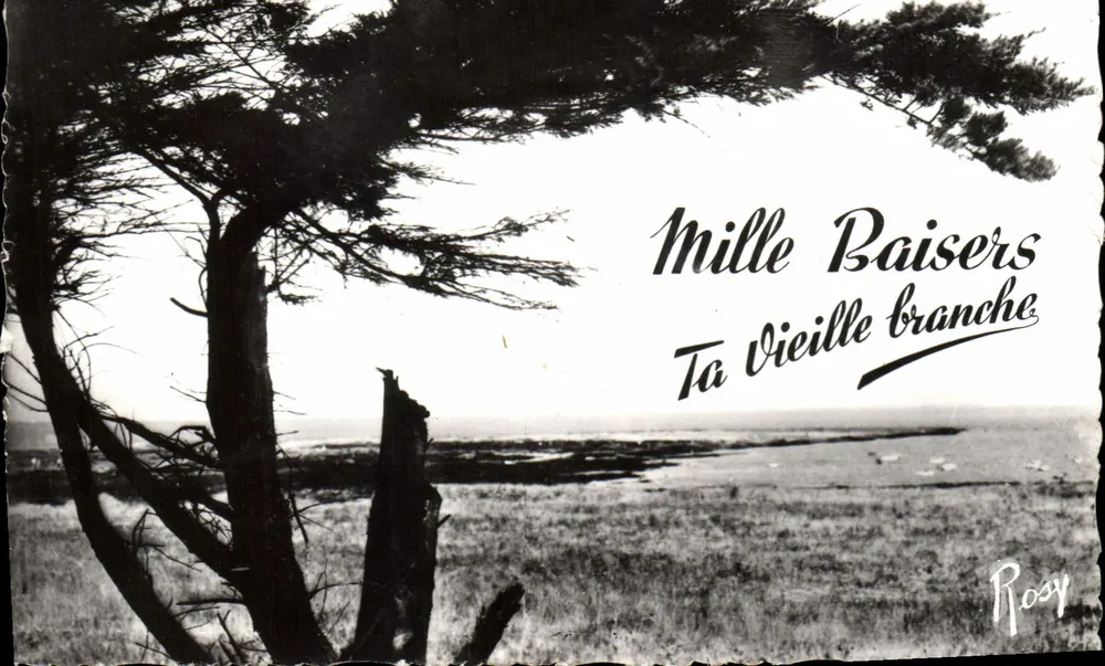 Árvore à beira do mar — vista da costa — F. Chapeau, editor Nantes - Frente