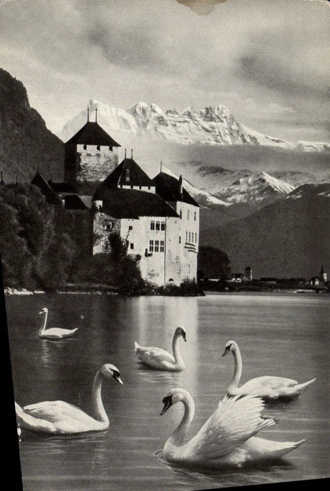 Schloss Chillon — Blick auf den See mit Schwänen — Éditions Jaeger Genève, n° 6235 - Vorderseite