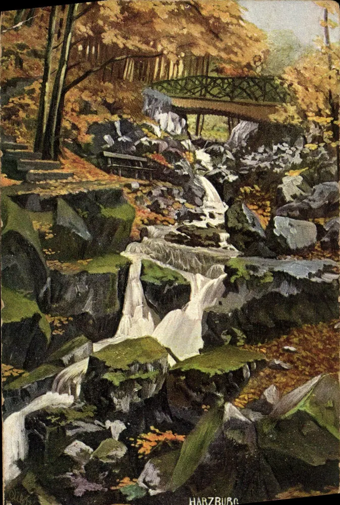 Harzburger Riefenbach — cascata e ponte no outono — Tuck's Postkarte, n° 3101 - Frente