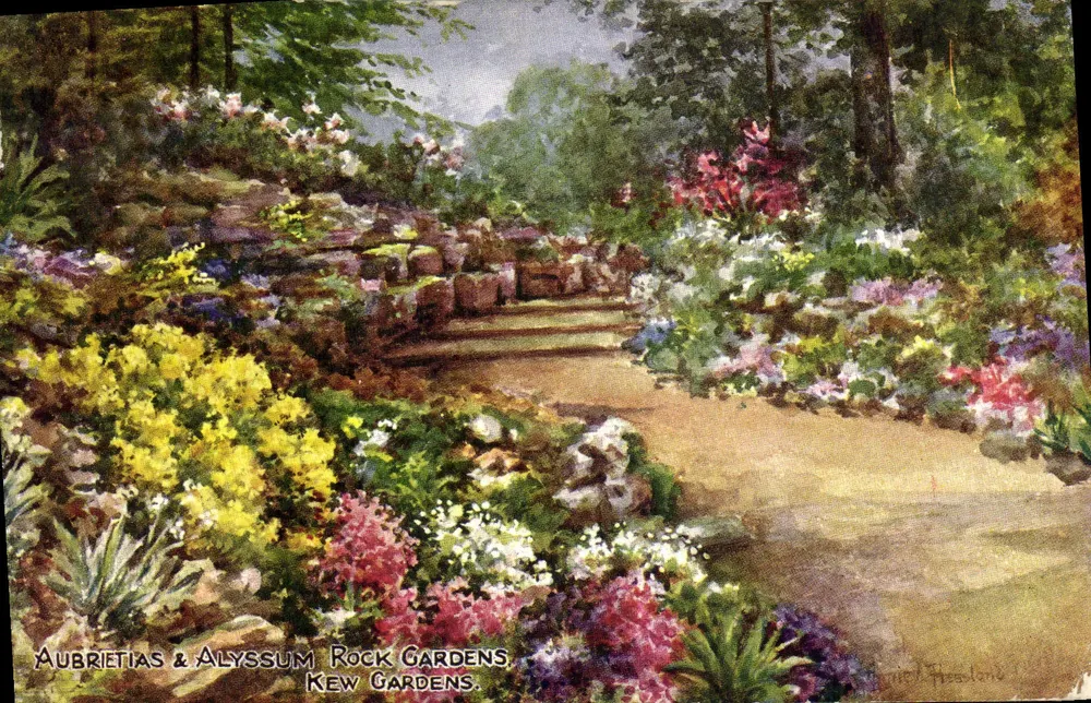 Aubrietias & Alyssum Felsenhort — Kew Gardens — J. Salmon & L. Pressland - Vorderseite